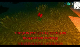 我的世界恐怖视频,揭秘我的世界恐怖视频背后的惊悚世界